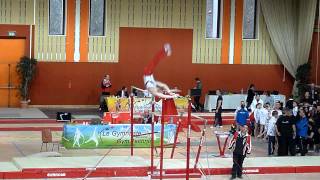 Willig Arnaud Barre Fixe Cg Cf Mulhouse 2013