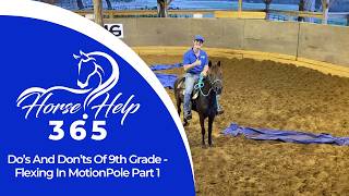 Do’s And Don’ts Of 9th Grade - Flexing In Motion | Horse Help - Michael Gascon
🐴 Horse Help 365 - Daily Horse Training Videos 🐴
“Do’s And Don’ts Of 9th Grade - Flexing In Motion
Are you struggling to flex your horse while riding without losing control or balance? In this video, Michael Gascon (aka The Horse Guru) breaks down the do’s and don’ts of flexing in motion—an essential 9th grade horsemanship skill. Using Miss America, a hot and energetic mare fresh from a speed session, Michael shows how to correctly flex a horse under saddle without sacrificing forward motion or feel.
Youll learn:
✅ Why it’s better to master one side before crossing center
✅ How to flex a horse at the walk or trot without pulling on both reins
✅ What to do when your horse gets stiff, hot, or fussy
✅ The difference between just pulling the reins and true flexion at the poll
✅ How to use flexing in motion to calm down sensitive or hot horses
Whether your horse is just learning to flex or needs a tune-up, this video will help you build softness, straightness, and responsiveness without the confusion. It’s not about yanking both reins—it’s about thoughtful repetition and purposeful release.
🛑 If youd like to get access to our step-by-step horse training system to fix any horse problem at home, enroll in our FREE 30-Day Horse Help Challenge:
www.horsehelpchallenge.com
#horsebackriding #horses #horsetraining #horsetrainer #horse
#horsetrainingtips #horsehelp Do’s And Don’ts Of 9th Grade - Flexing In Motion | Horse Help - Michael Gascon