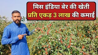 मिस इंडिया बेर की खेती से प्रति एकड़ 3 लाख सालाना // miss India ber farming in India // ber ki kheti