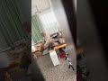 ドーナツが欲しくて叫ぶけー🤣