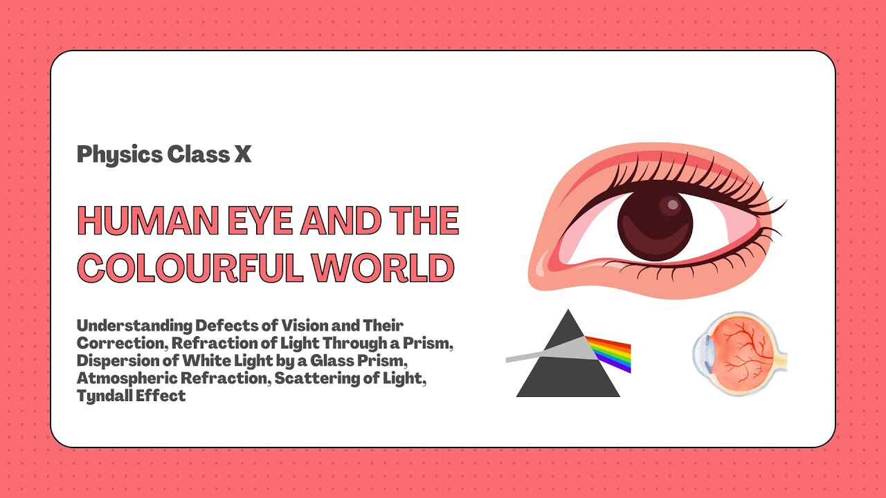 HUMAN EYE AND THE COLOURFUL WORLD || CLASS 10 || PHYSICS || SCIENCE ...
