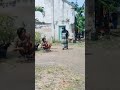 Viral emak emak bar bar[ tunkang adu ayam ]