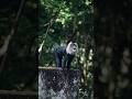"Jungle Royalty: the Planet’s Most Unique Monkeys & Apes!"#shorts