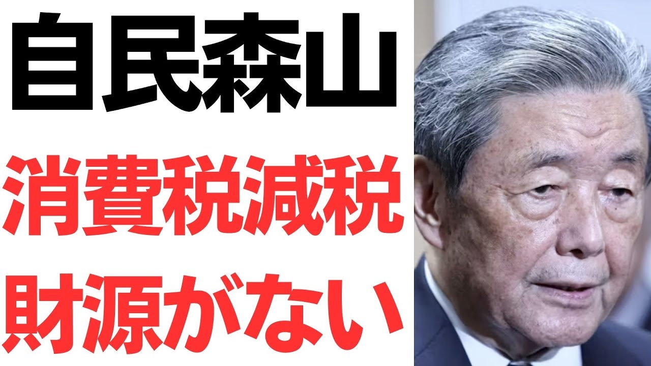 森山裕氏・自民党幹事長の消費税減税発言｜財源論を整理のサムネイル