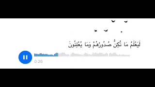 اللهمَّ بلغنا رمضان ؛ بلاغ توفيق وقبول🌙