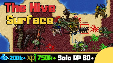 RP 80+ The Hive [Tibia Solo Paladin]