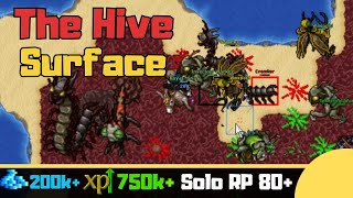 RP 80+ The Hive [Tibia Solo Paladin]