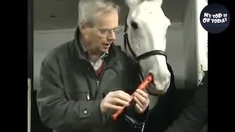 If It Were Not Filmed, No One Would Believe It!