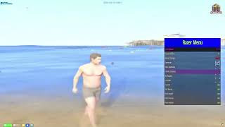 Free Fivem executor with menu 2023 works