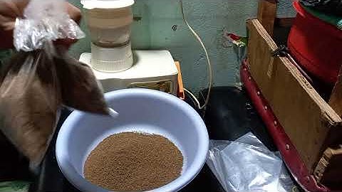 mồi câu cá hồ dịch vụ ,cá chim ,cá trê ,cá tra ,chia sẽ mồi câu cá ,Nghệ thuật là đam mê Vlogs