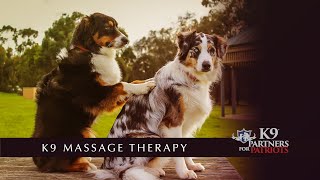 K9 Massage Therapy