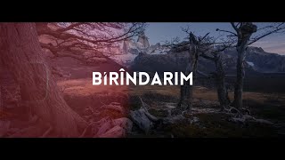 Birîndarım - Zarox Beatz & Betül Barkın Yıldız Resimi