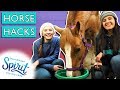 10 Equestrian Life Hacks You Need to Know! | THAT&#39;S THE SPIRIT