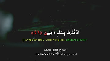 أن المتقين في جنات  القارئ طارق محمد