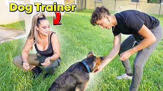 I Hired a PROFESSIONAL TRAINER For My Dog!