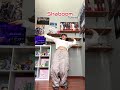 ATEEZ - SHABOOM ‘Tutorial’ (Explicación + Modo Espejo) | Ali Gopa