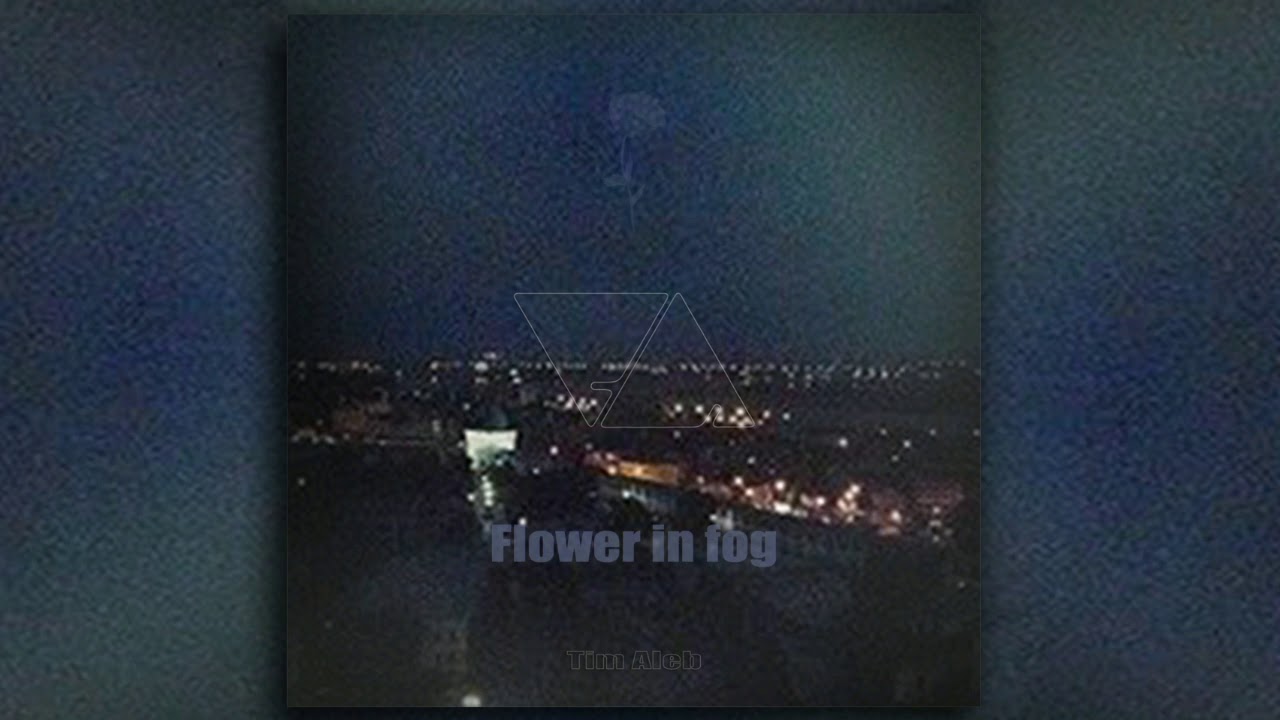 Tim Aleb - Flower in fog