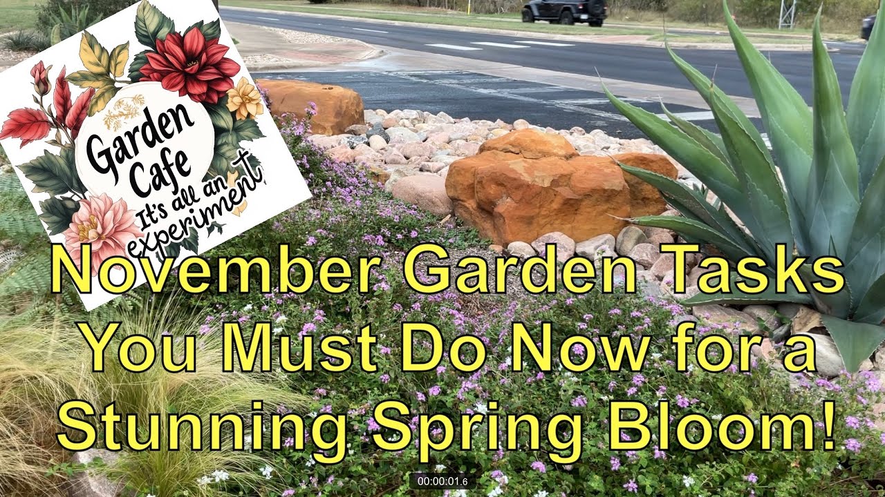 Ноябрьские работы в саду, которые стоит выполнить сейчас, чтобы получить потрясающее весеннее цве...