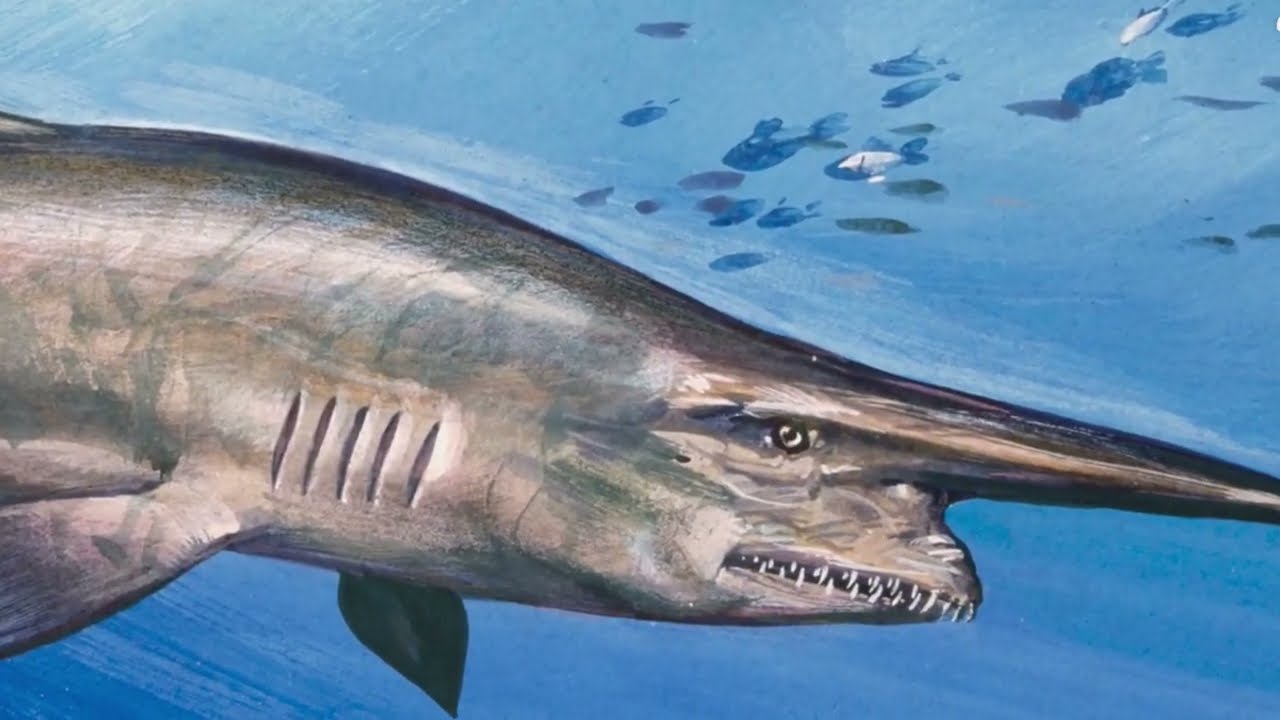 The Goblin Shark: The Deep-Sea Predator with a Long Snout