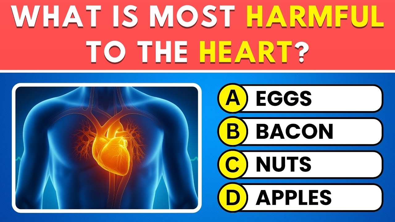Can You Pass This Human Body Quiz? 🧠 Take This 50-Question Anatomy ...