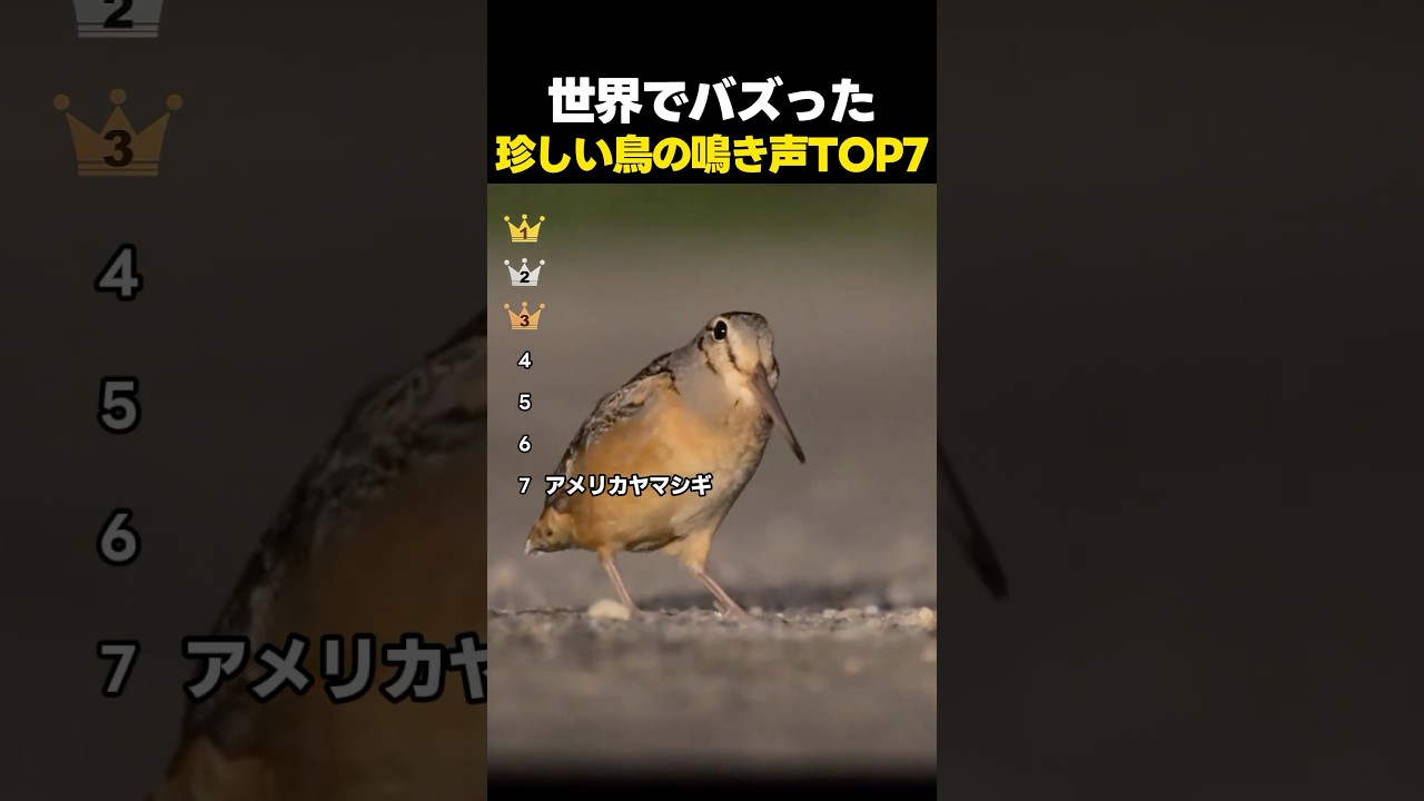 世界でバズった「奇妙すぎる鳥の鳴き声」TOP7