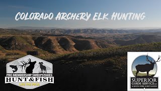 Colorado Elk Hunt with Superior Guide Service