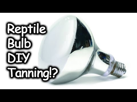 DIY Tanning & Vitamin D Using Reptile UV Bulb!