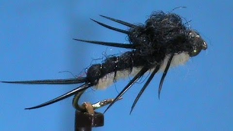 Beginner Fly Tying a Two Tonw Stone with Jim Misiura