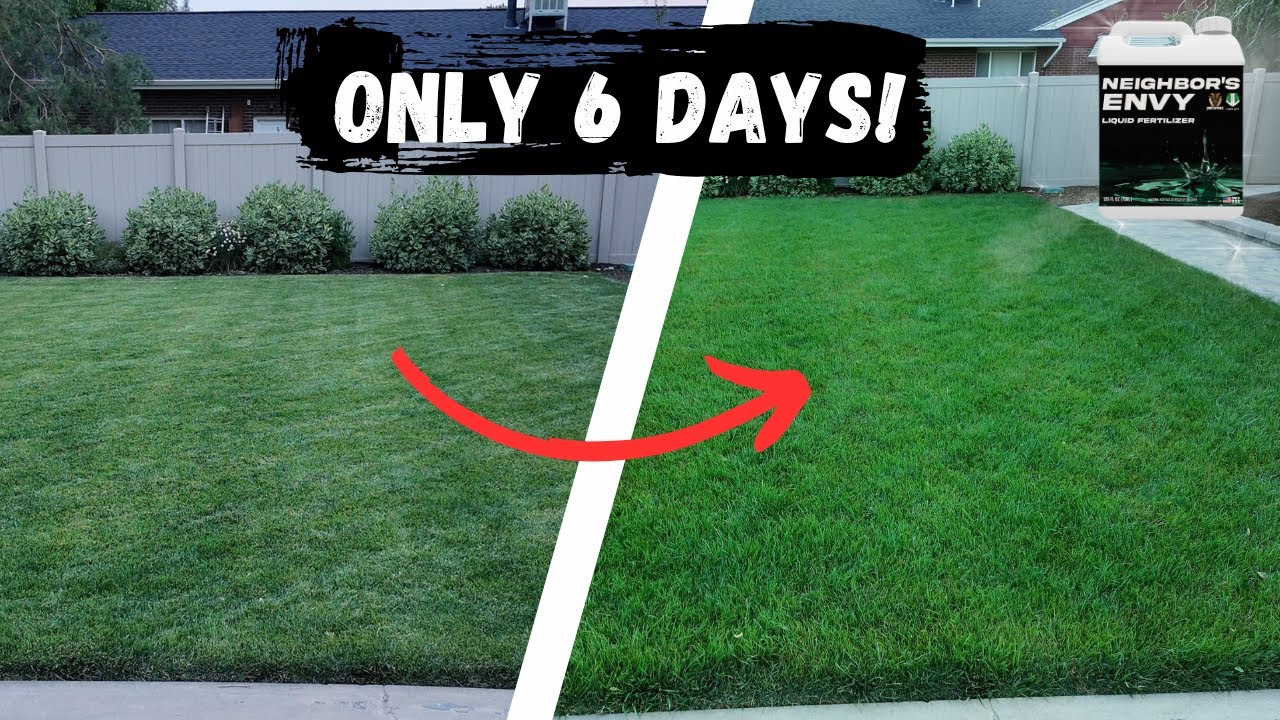 I Tried the VIRAL Neighbor’s Envy Lawn Fertilizer – INSANE Results in 6 Days!