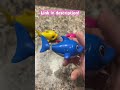 Baby Shark Robo Alive Swimming Toy 🦈 Realistic Water-Activated Fun for Kids!