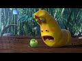 LARVA - MEILLEUR DE LARVA | Dessin animé | Dessins animés pour enfants | LARVA Officiel