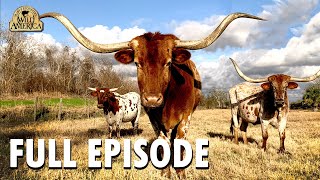 Wild America | S8 E9 'Wild Texas' | Full Episode | FANGS