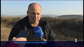 Daños conejos El Redal y Ausejo TVE 25 2 2026