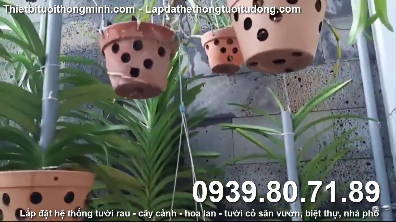 Hướng dẫn lắp đặt hệ thống phun sương tưới hoa phong... - youtube