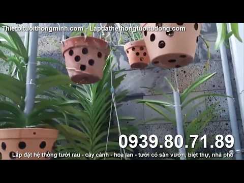Video Hướng dẫn lắp đặt hệ thống phun sương tưới hoa phong... - youtube