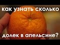 Как выиграть спор?(Сколько долек в неочищенном апельсине)