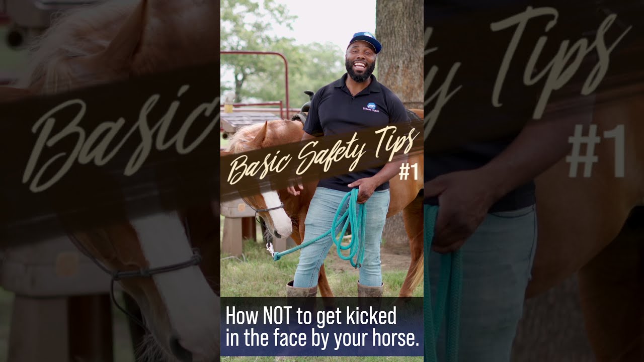 Safety Tips #1 - How to NOT Get Kicked in the Face by Your Horse