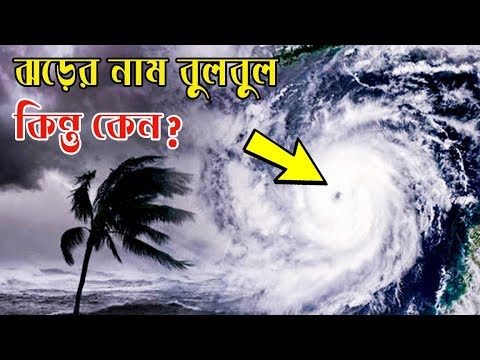 ভিডিও: আটলান্টিক হারিকেন মরসুমে কীভাবে ভ্রমণের পরিকল্পনা করবেন