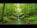 Lake - Healing Melody
