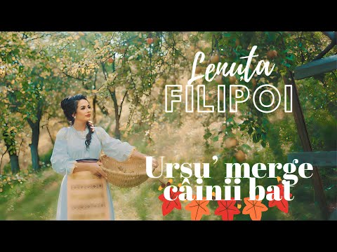 Ursu merge cainii bat
