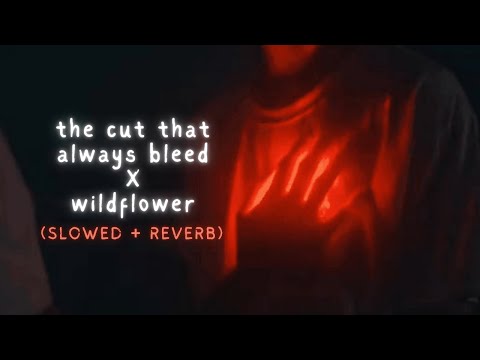 The Cut That Always Bleed X Wildflower Conan Gray X Billie Eilish Slowed Reverb 