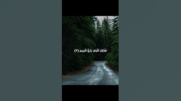 تلاوه خاشعه تريح القلب♥️  من سورة #hearttouching #quran #emotional الماعون عبدالرحمن مسعد