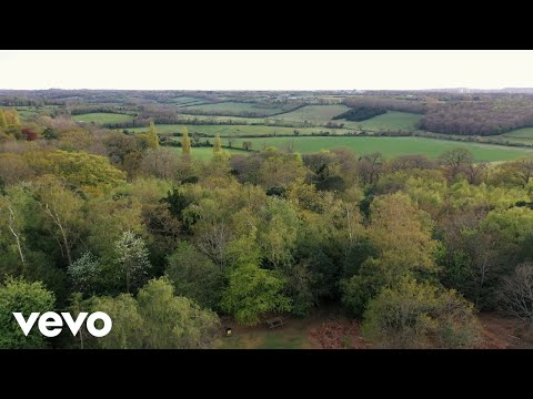 Don Andre - Own Space (Official Music Video) ft. BigChain