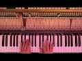 Pieter savenberg  longing felt piano