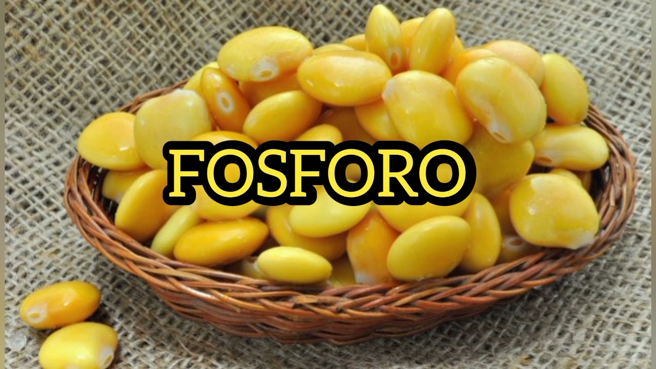 Proprietà BENEFICHE e NUTRITIVE dei LUPINI