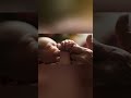 Я заставил нейросеть увидеть душу.