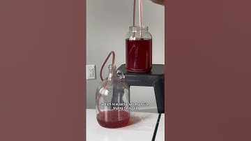 WHY YOU NEED TO SIPHON MEAD