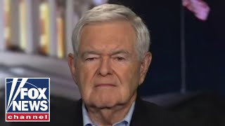 Newt Gingrich: Dems are dangerously close to causing this disaster