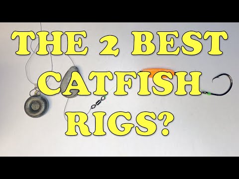 How To Tie Two of the Best Catfishing Rigs: The Carolina Rig & The Santee  Cooper Rig 