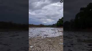 Así llega el agua al río de Choix Sinaloa .. que bonito se ve ahora si se va a poner todo verde  ❤️